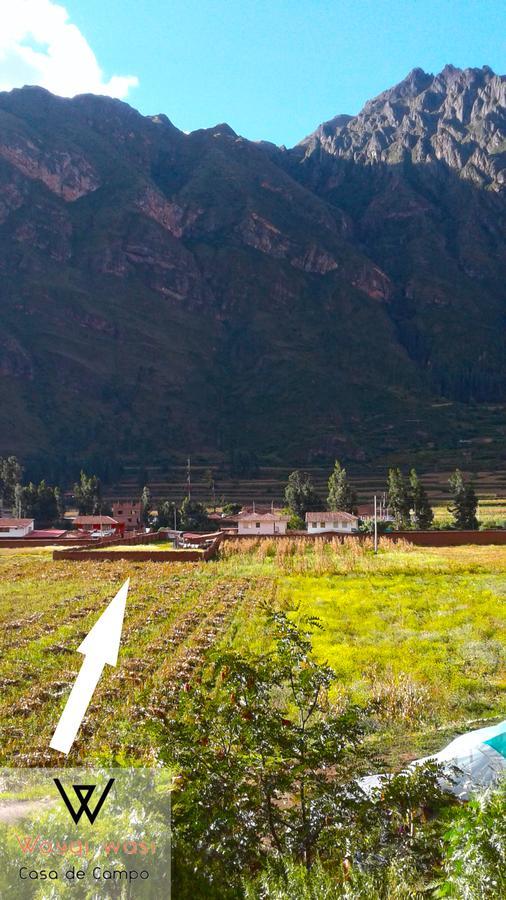 Wayqi Wasi Konuk evi Pisac Dış mekan fotoğraf