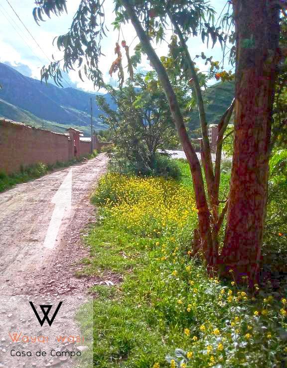 Wayqi Wasi Konuk evi Pisac Dış mekan fotoğraf