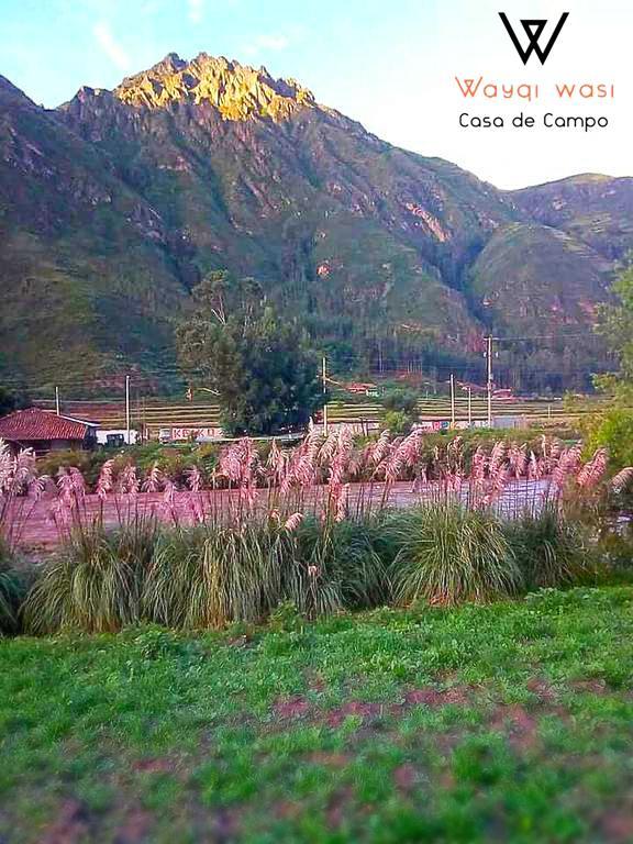 Wayqi Wasi Konuk evi Pisac Dış mekan fotoğraf