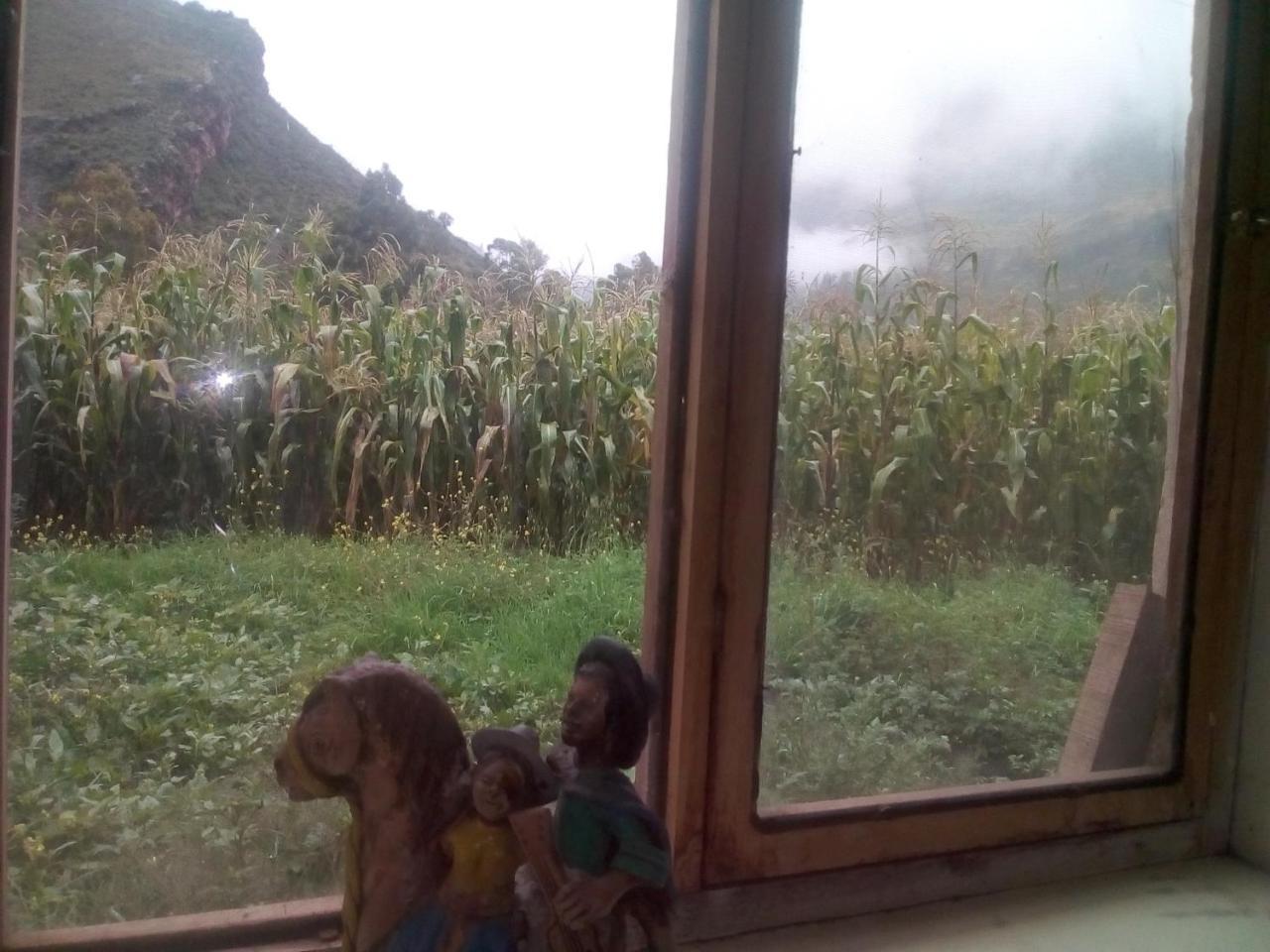 Wayqi Wasi Konuk evi Pisac Dış mekan fotoğraf